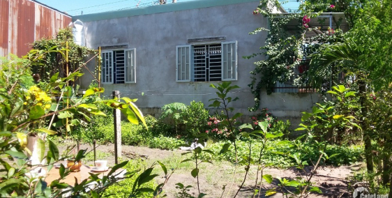 Bán hoặc cho thuê nhà, đất tại Mặt tiền QL51, Xã Long Phước, Huyện Long Thành, t