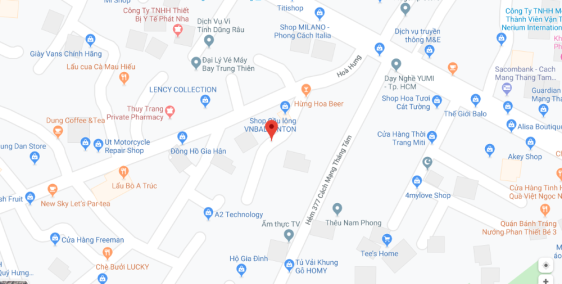 Chính chủ bán nhà hẻm 15 đường Hòa Hưng Phường 12 Quận 10