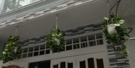 Nhà Gò Vấp Gía Rẻ vị trí tố pháp lý đầy đủ