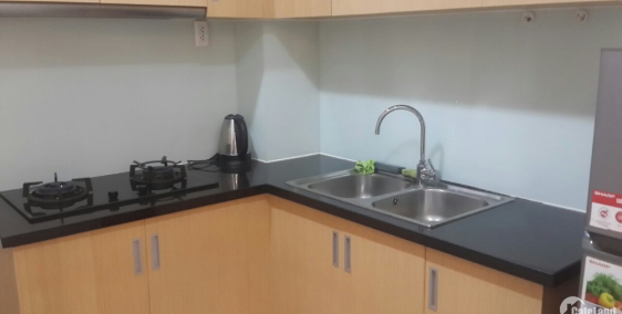 Cho thuê gấp căn hộ Him Lam Riverside, quận 7