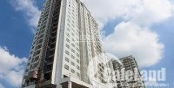 cần cho thuê gấp căn hộ 2PN 2WC dự án moonlight residences giá 9tr