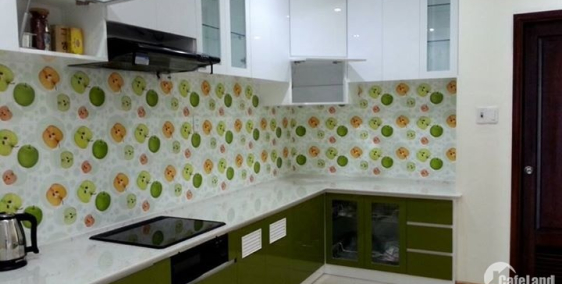 cho thuê căn hộ penthouse 192m2