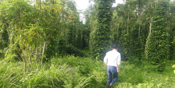 Bán đất nền Bà Rịa màu mỡ Hướng đẹp để Xây Nhà