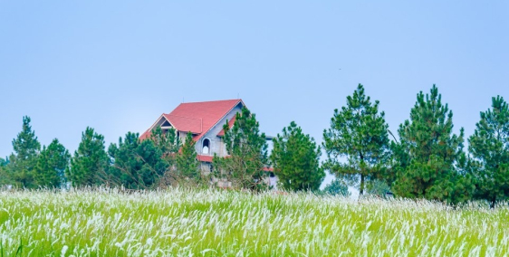 Biệt thự "Vàng" trong làng đầu tư , tỉ suất >20%/năm !!!