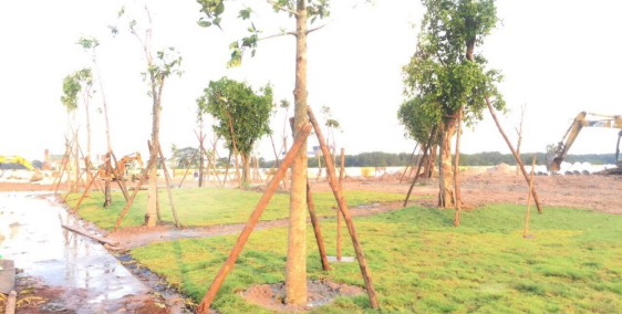 Đất nền giá rẻ ngay KCN Bàu Bàng