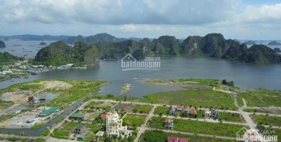 ĐẤT NỀN TRUNG TÂM TP CẨM PHẢ VIEW TRỰC TIẾP VỊNH BÁI TỬ LONG. LH ĐẦU TƯ 09860068