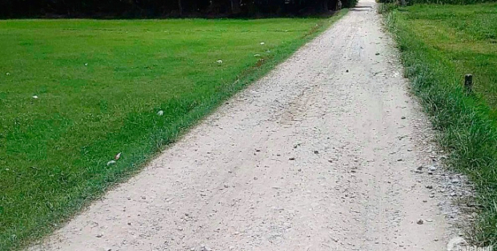 Cần bán đất Tỉnh Long An, cách trung tâm thành phố Tân An 5 phút