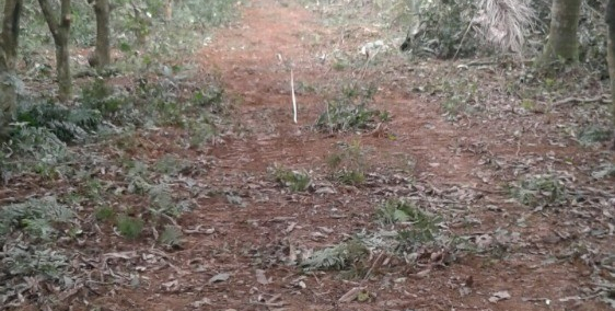 Cần bán lô đất, xây khu nghỉ dưỡng cạnh sân Golf SkyLake Hồ Văn Sơn