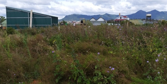 Bán 680m2 đất xây dựng, mtXô Viết Nghệ Tĩnh p.7 Đà Lạt, 18 tỷ