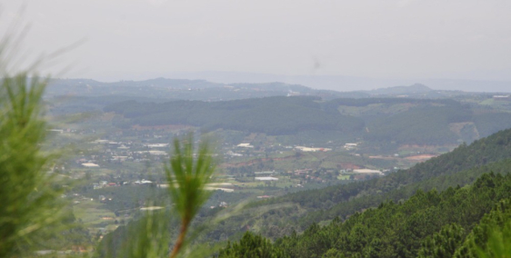 Cần Bán Đất Đẹp Trung Tâm Xã Tà Nung - Phù Hợp Nghĩ Dưỡng - View Đẹp