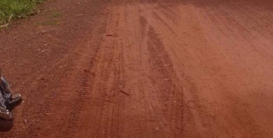 Đất Chính Chủ Long Hòa-Dầu Tiếng-Bình Dương