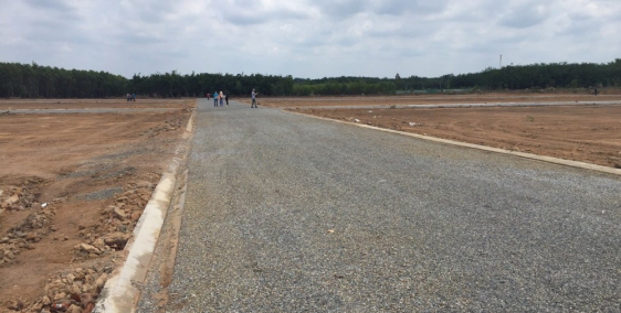 Phố chuyên gia Dragon Tân Tạo, đẳng cấp khu dân cư phố chuyên gia, chỉ từ 699tr