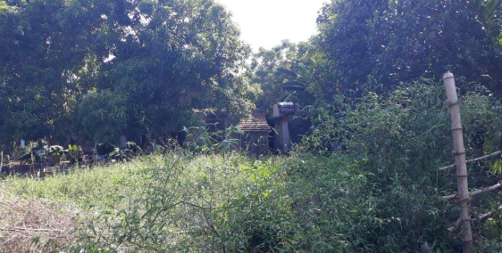 Chuyển công tác, cần bán đất Đà Nẵng giá rẻ