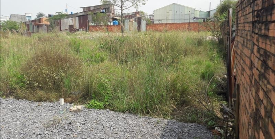 Bán gấp đất  85,5m2 xã Phạm Văn Hai, Bình Chánh, SHR