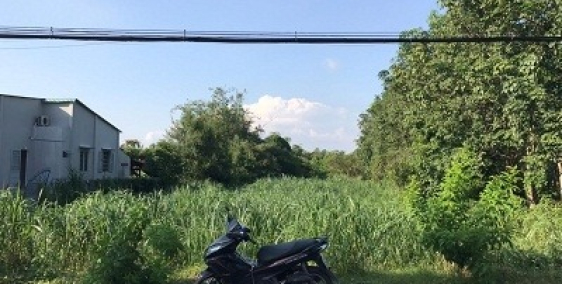 Cần bán mặt tiền Cây Trôm - Mỹ Khánh, SHR, 10.2 tr/m2.