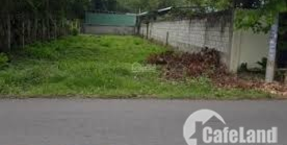 Chỉ Còn 1 Lô MT Cây Gỏ (Đất cây lâu năm) Diện Tích 283m2 Mà Chỉ 1Ttỷ 500 triệu