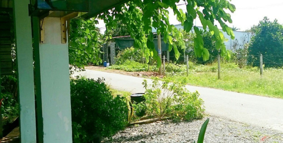 Đất dt 125m2 cần bán cạnh bệnh viện Xuyên Á Tp HCM