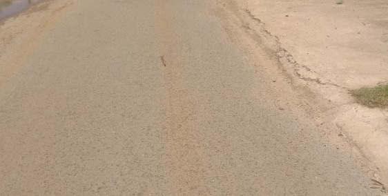 Đất vườn củ chi giảm giá sốc,sổ hồng 1002m2 giá 650 triệu,sang tên liền.