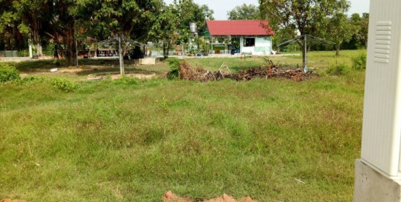 Bán gấp lô đất tại Suối Lội, Củ Chi, SHR, DT 100m2 giá rẻ