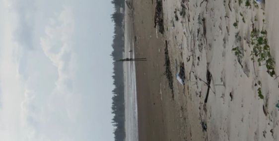 BÁN ĐẤT 2 MẶT TIỀN ĐƯỜNG HÙNG VƯƠNG VA MẶT TIỀN BIỂN.THỊ XÃ LAGI BÌNH THUẬNCC