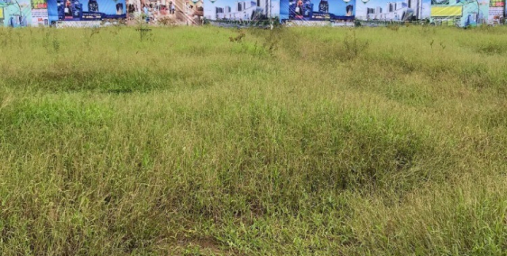 Lô đất 145.6m2, 560tr, SHR, xã Đạo Thạnh,tp Mỹ Tho