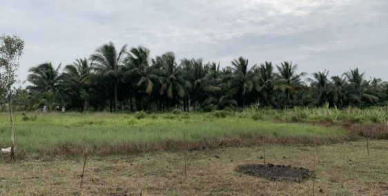 CHÍNH CHỦ GỬI BÁN LÔ ĐẤT GẦN VINGROUD 1000M2 GIÁ 1TY2