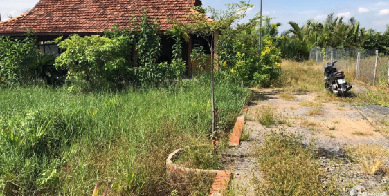 Bán đất xã phú hữu,mặt đường mặt sông