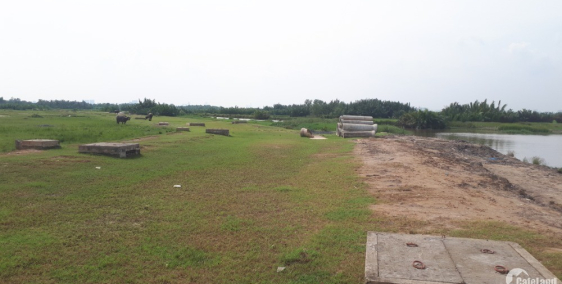 Bán gấp lô đất 600m2 cây lâu năm có 60m2 thổ cư cách phà cát lái 1km