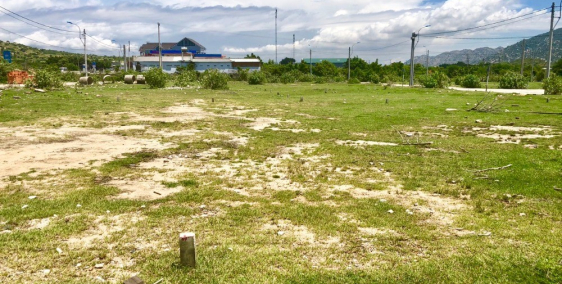 Đất Nền Thổ Cư 100% Gần Biển Cà Ná Khu Vực Tiềm Năng Phát Triển Kinh Tế