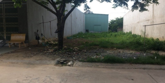 Đất Đẹp Không Ai Trông Nom Nên Cần Bán Gấp Lô Đất cách Vành Đai 4 500m 680tr