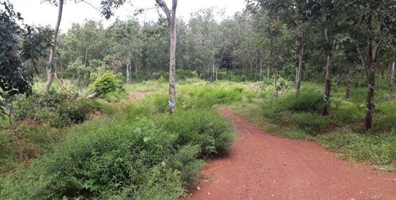 Đât nền thành phố biển Bà Rịa 750tr nhận sổ