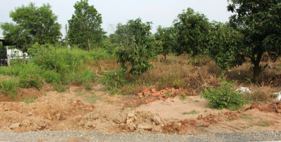 BÁN NHANH LÔ MẶT TIỀN ĐƯỜNG 328, XUYÊN MỘC, HỒ TRÀM