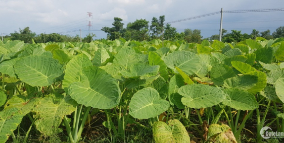 Cần bán mảnh vườn 4000m2.xã Suối Nho.Định Quán.Đồng Nai