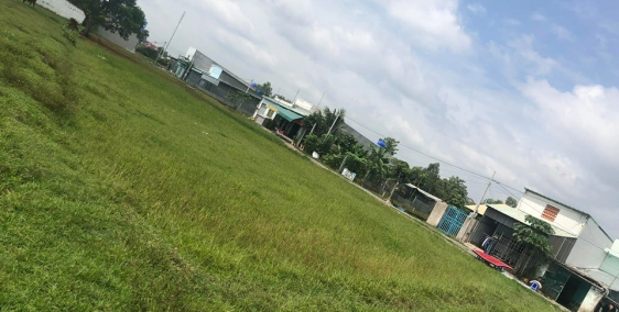 CẦN BÁN ĐẤT 1285M2 [49X28] TẠI THỊ TRẤN ĐỨC HÒA - ĐỨC HÒA