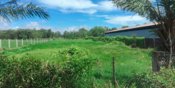 Đất vườn xã Thái Mỹ cần bán Gấp.Diện tích 1000m2 giá  1,3 tỷ.Mặt tiền nhựa 6m