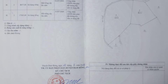 580tr sở hữu 4000m2 đất, Sổ hồng riêng và 70 cây sầu riêng lâu năm tại Lâm Đồng.