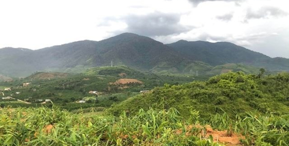 Đất trang trại tại Lâm Đồng rộng 4000m2 + 70 cây sầu riêng lâu năm chỉ 600tr.SHR