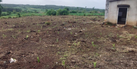 Bán đất nông nghiệp Xã Bàu Cạn, huyện Long Thành