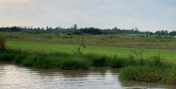 GIÁ F0 KHÔNG F1 _ CHƯA TỚI 1 tr/m2 _ gần đường LIÊN CẢNG