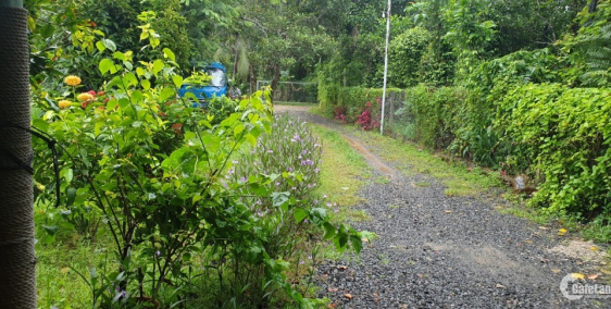 Bán đất vườn, có sẵn nhà và ao cá, trang trại 500m2 giá 240triệu gần chợ Tân Phú