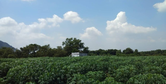 Bán đất Mẫu Mặt tiền Giá 1,1 tr/m2,Xã Tóc Tiên, Thị Xã Phú Mỹ