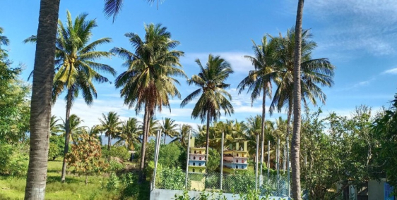 Chính chủ cần bán nhà và đất mặt tiền 42m tại Hòa Minh, Tuy Phong