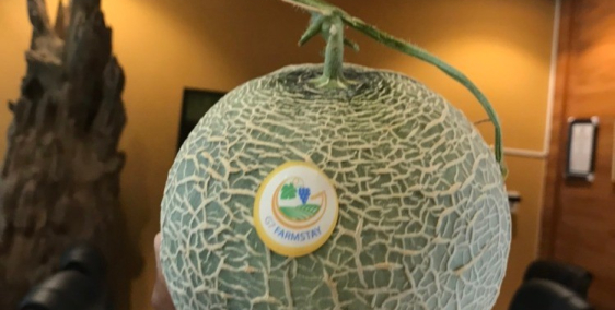 FarmStay G7. Nghỉ dưỡng kết hợp nông nghiệp.