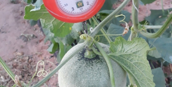 FARMSTAY G7. ĐẦU TƯ SINH LỢI BỀN VỮNG...