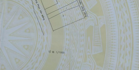 Cho thuê đất Bến Lức gần trung tâm thị trấn Bến Lức  DT 773,4m vuông, giao thông