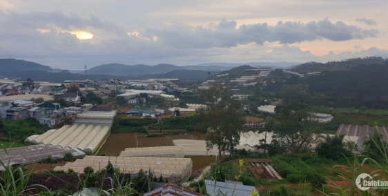 Cho thuê đất 1000m2, hướng KDL Suối Vàng p.7 Đà Lạt, 20tr/ tháng