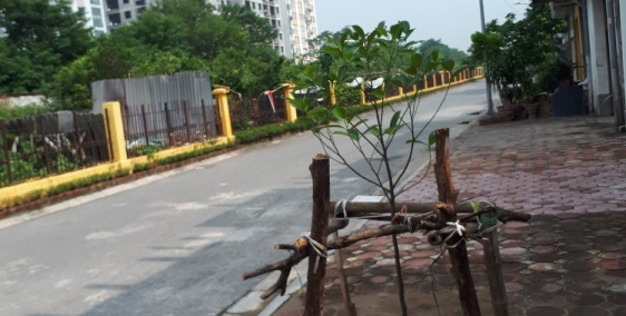 Cho thuê kho xưởng 215m2 Long Biên, đường 5 tân gần C. Vĩnh Tuy, có 3fa, an ninh