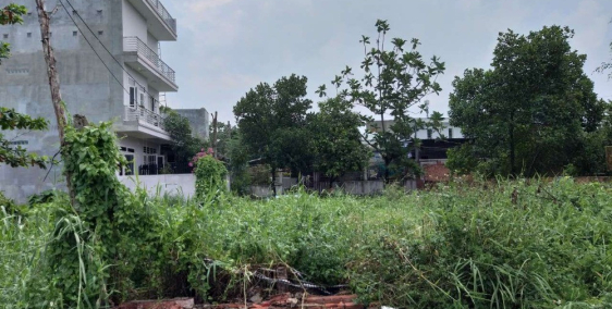 Cho thuê Đất trống 300m2 Đường số 10 Nguyễn Duy Trinh, P.BTĐ, Q.2