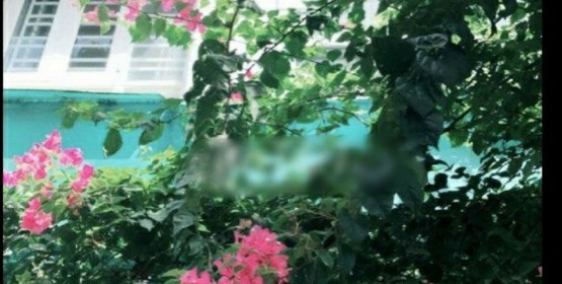 Cho thuê nhà 3 tầng 135m2 HXH 34 Gò Ô Môi, p.Phú Thuận, Quận 7