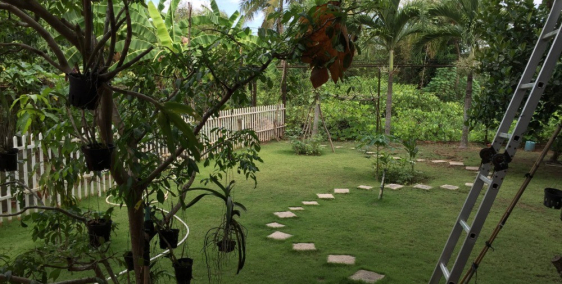 Bán nhà biệt thự củ chi thành phố hồ chí minh